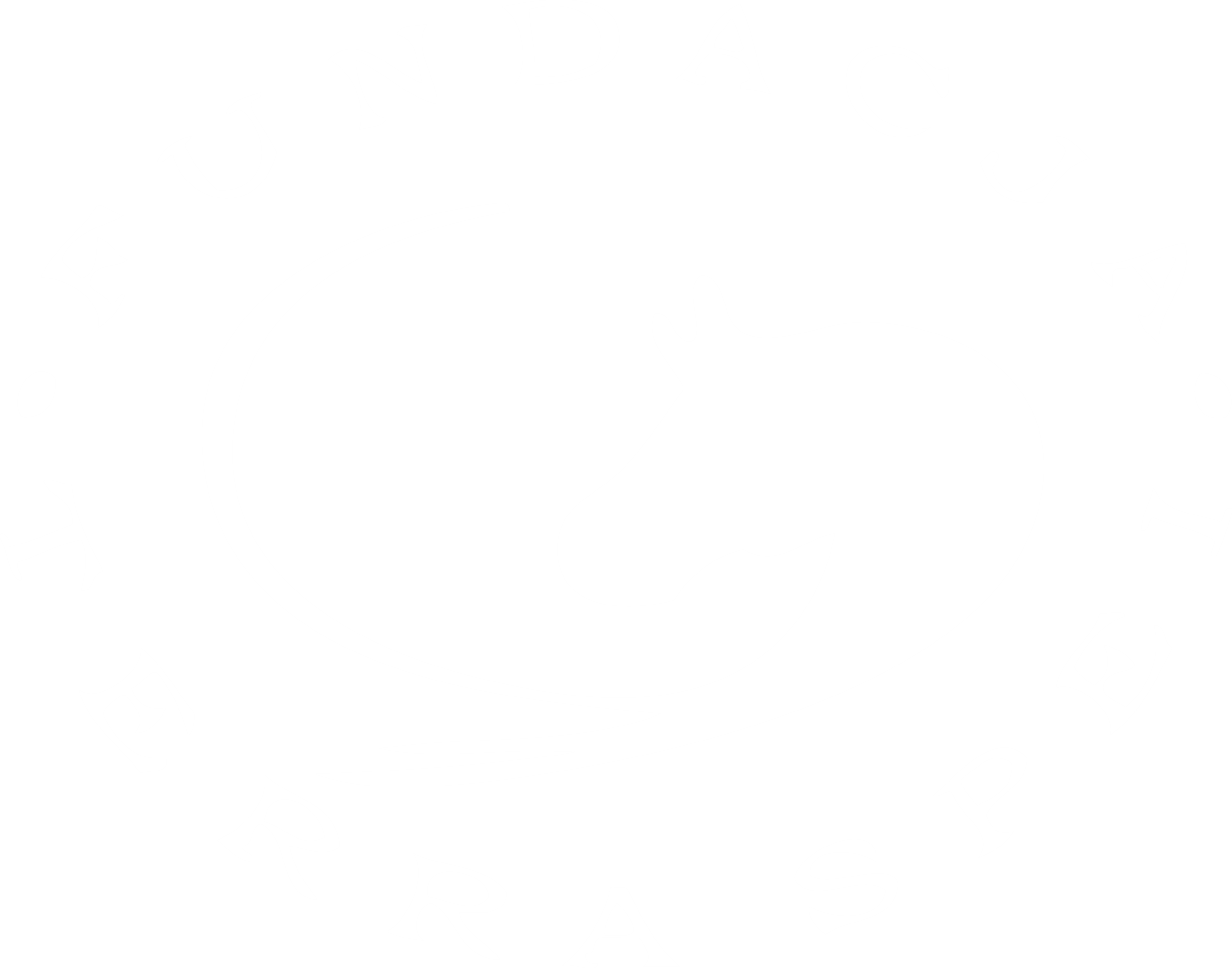 fundacja_logo_white