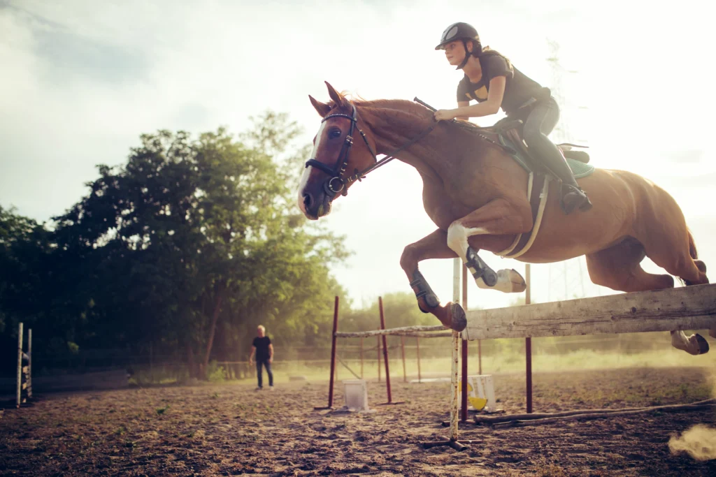 show_jumping
