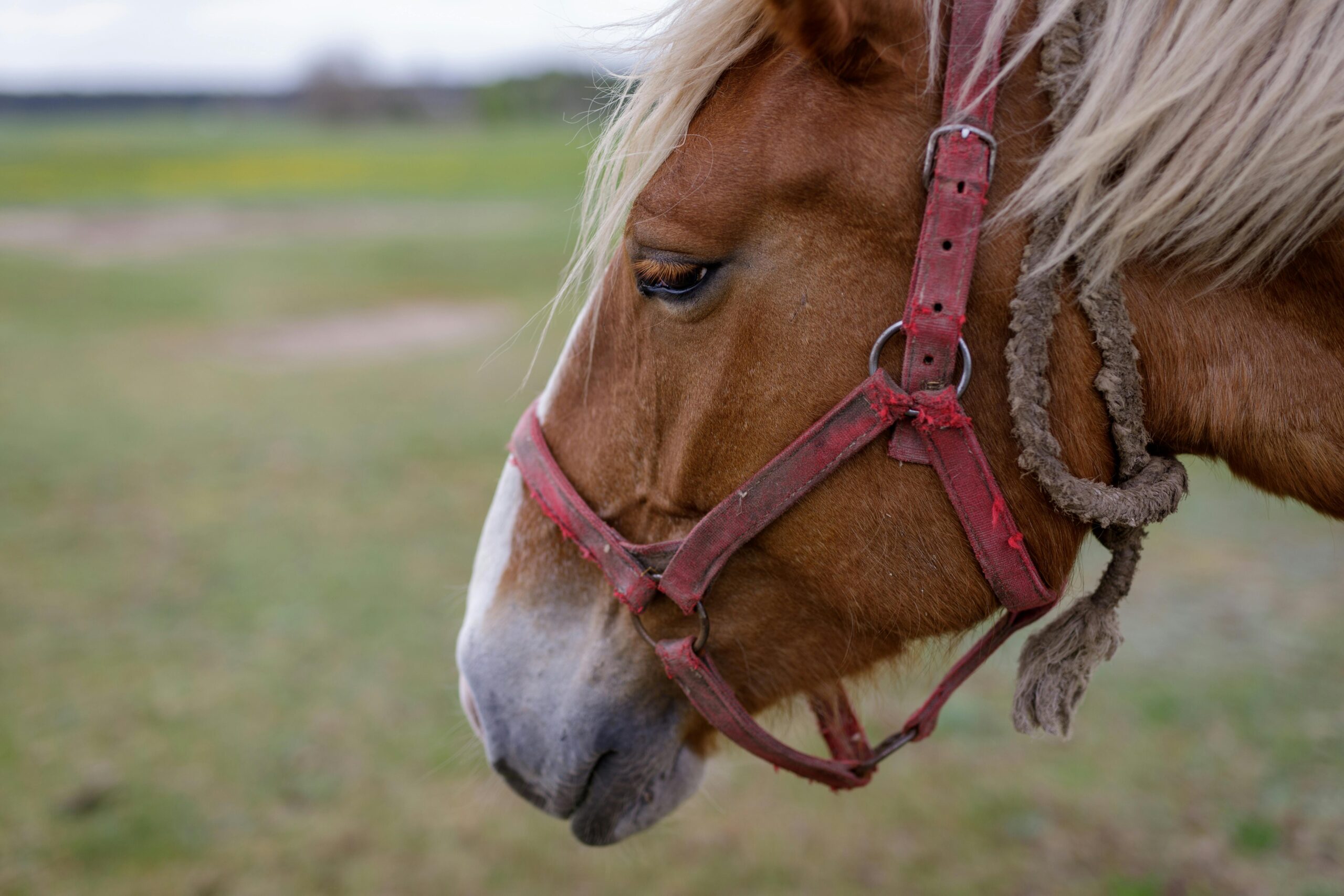 pexels-pljack-14704387
